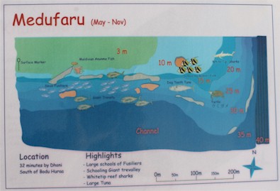 Medufaru